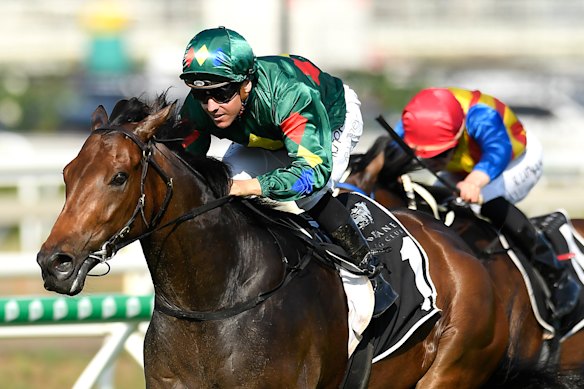 Alligator Blood will carry the hopes of punters in the Guineas.