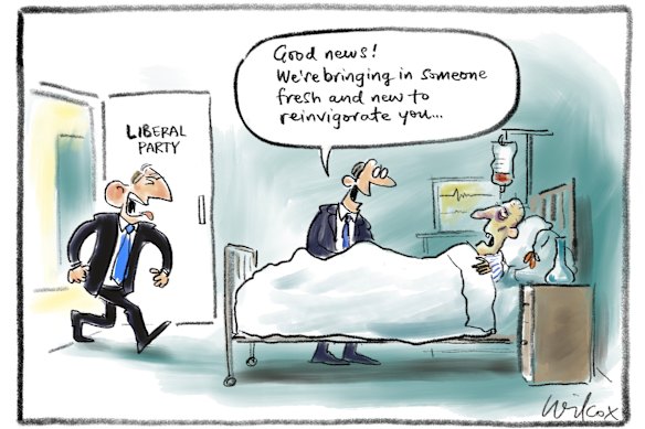 Illustration by Cathy Wilcox