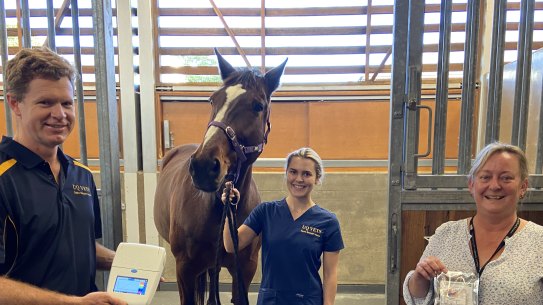 UQ’s Professor Ben Ahern (right) with a Genie III machine, and veterinary researcher Lyndal Hulse (left) holding the Hendra diagnostic sampling kit.