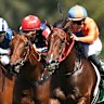 Race-by-race preview and tips for Thursday meeting at Wyong