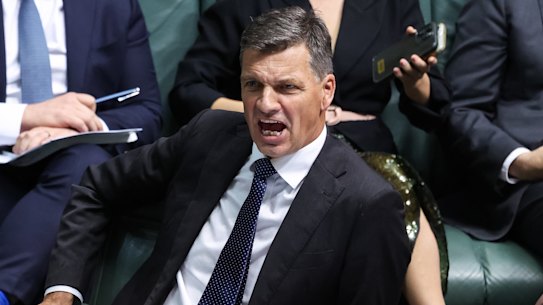 Opposition Leader Angus Taylor reacts as Prime Minister Anthony Albanese speaks during question time at Parliament House in Canberra.