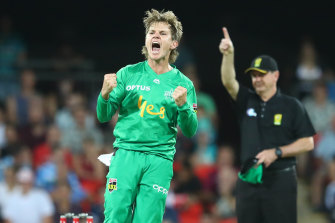 Star turn: Adam Zampa celebrates a wicket for Melbourne.