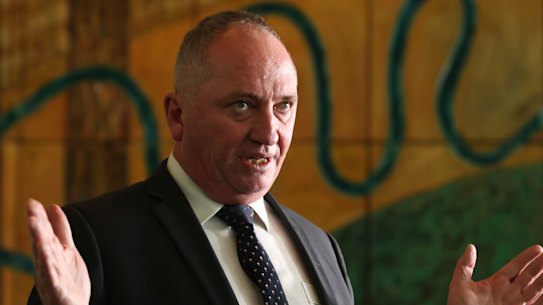 Deputy Prime Minister Barnaby Joyce 