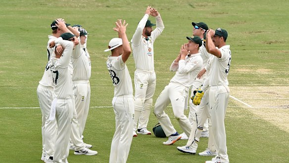 The Australian team has a lot to think about after the series loss to India.