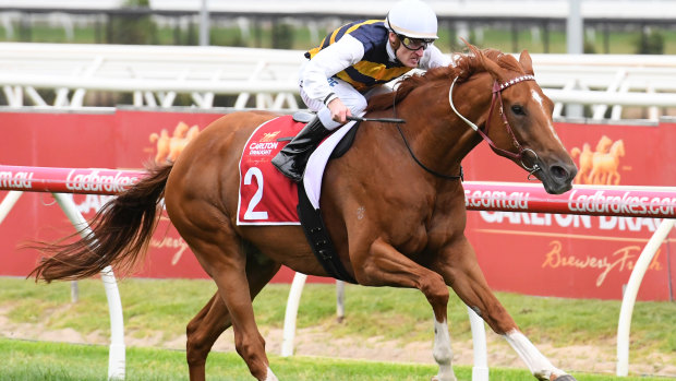 Mark Zahra riding Gailo Chop wins the Peter Young Stakes at Caulfield in 2018.