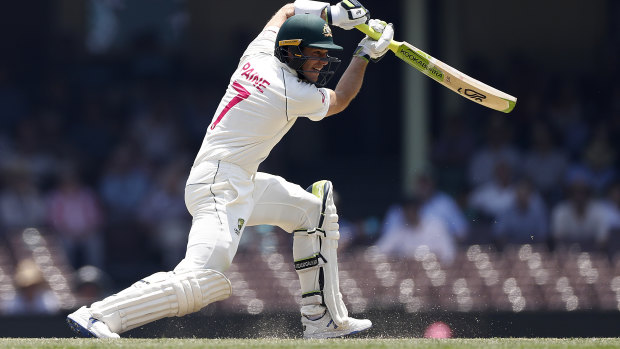 Tim Paine in action in the Test series against New Zealand.