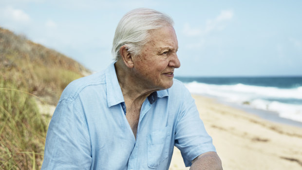 Sir David Attenborough filming Blue Planet II in Shark Bay, Western Australia. 