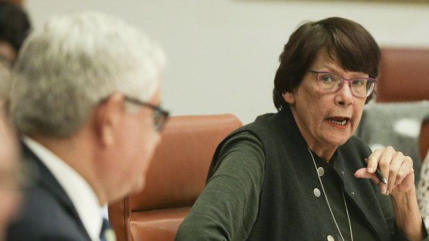 Indigenous Australians Minister Ken Wyatt and co-chair Pat Turner at Parliament House on Friday.