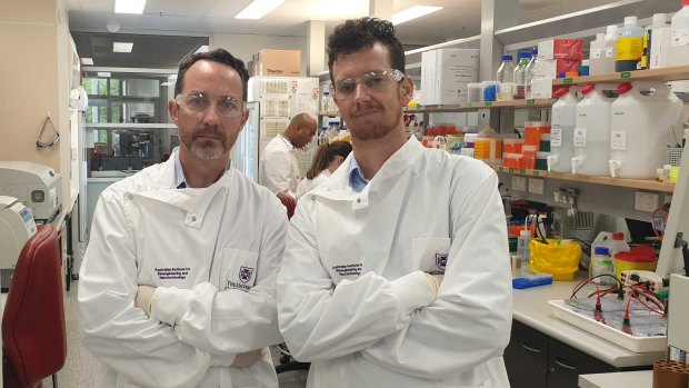 Australian Institute for Bioengineering and Nanotechnology professor Trent Munro and UQ's School of Chemistry and Molecular Biosciences Dr Keith Chappell in the AIBN lab.