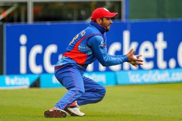 Afghanistan's Shafiqullah Shafaq was suspended after charges relating to the country's inaugural APL20 tournament.