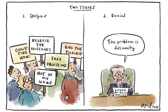 Cathy Wilcox