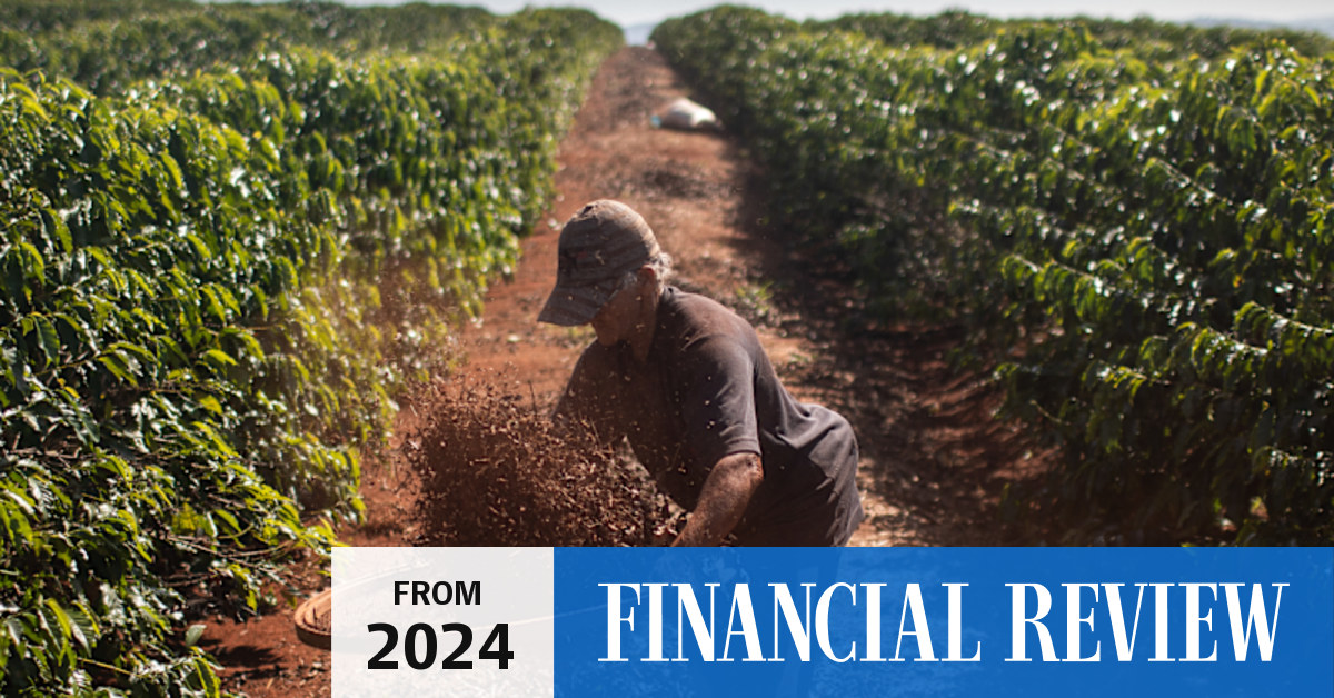Coffee prices to keep rising as weather damages Brazil’s Arabica crops