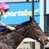 Too slow to act: Sportsbet fined $13,000 for failing to protect customer