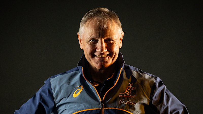 Joe Schmidt se pripravlja na zadnje poglavje kot trener Wallabiesov po težkem obdobju