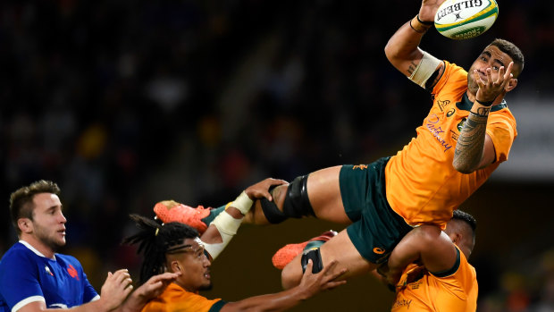 Salakaia-Loto in frame as Wallabies hit with injury carnage
