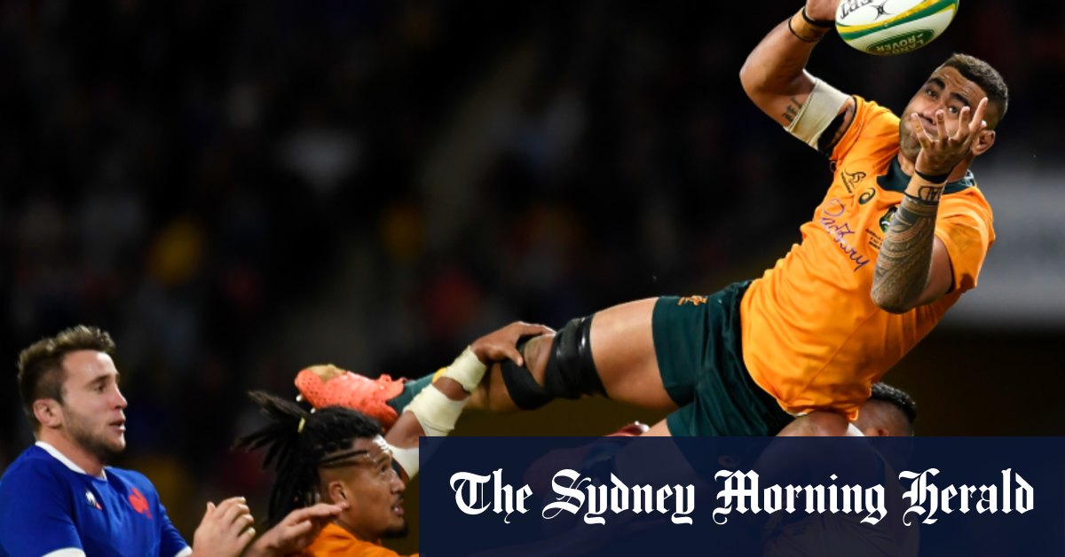 Salakaia-Loto in frame as Wallabies hit with injury carnage