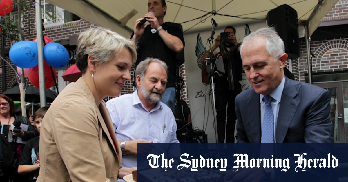CBD: Malcolm Turnbull, Tanya Plibersek campaign together for Yes vote - Vimarsana News