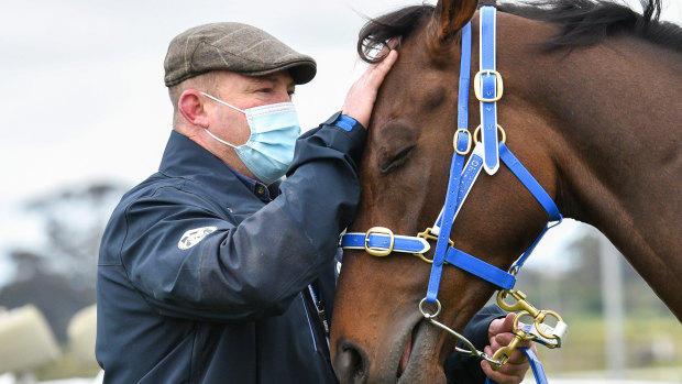 Trainer Peter Moody with Incentivise, the raging favourite for the Melbourne Cup.