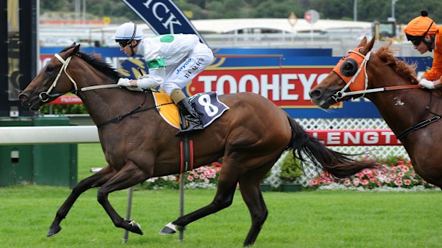 Unordered (in orange) running second at Royal Randwick in 2008.