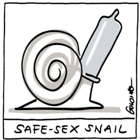   Illustration by Matt Golding