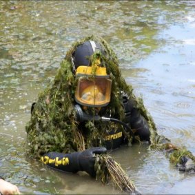 A diver covered in cabomba at Lake Kurwongbah.