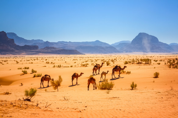 Wadi Rum has barely changed in the 100-plus years since Lawrence actually rode over its sands.