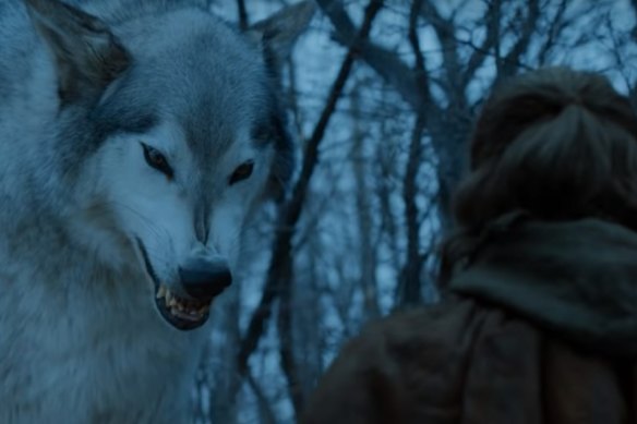 One of the fictional dire wolves featured in Game of Thrones. 
