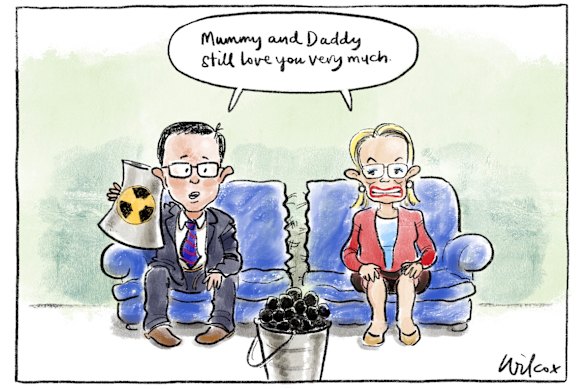 Cathy Wilcox’s cartoon. 