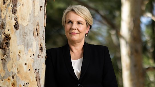 Environment Minister Tanya Plibersek says the laws are not fit for purpose.