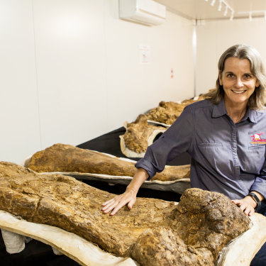 Robin McKenzie con los fósiles reales de Cooper en la Sala de Holotipos del Museo Iromanga de Historia Natural.