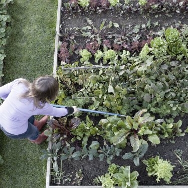 Roundup Should You Be Worried About Using It