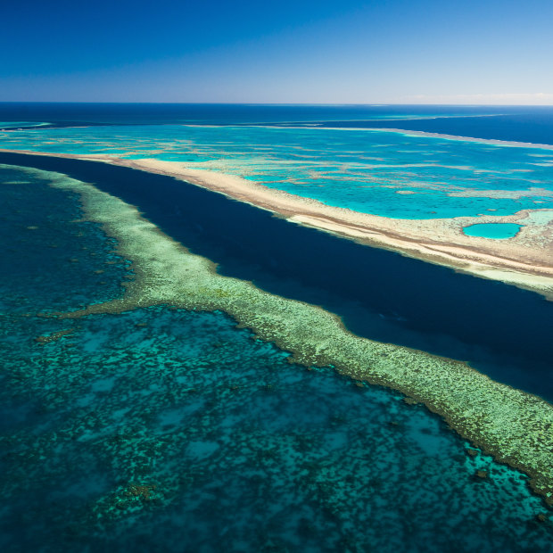 Photographer Gary Cranitch is on a mission to document one of the world's wonders - the Great Barrier Reef.