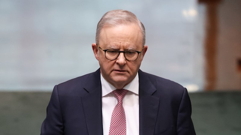 Albanese makes ‘no apologies’ for $6m grant, slams ABC reporting