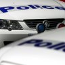 Police blast 'galling' behaviour of speeding motorcyclist