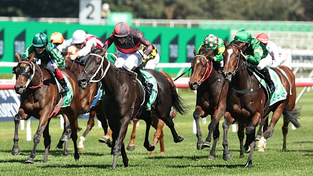 Randwick hosts an eight-race card on the Kensington track on Wednesday.