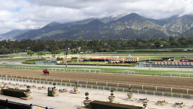 The picturesque Santa Anita racetrack recorded 23 equine fatalities in three months at one stage.