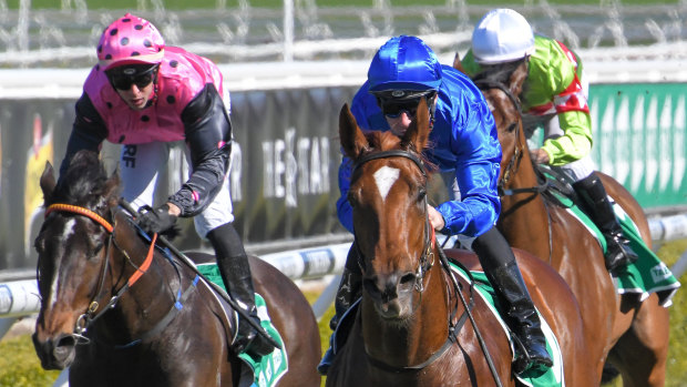 Tommy Berry steers Pandemic to victory.