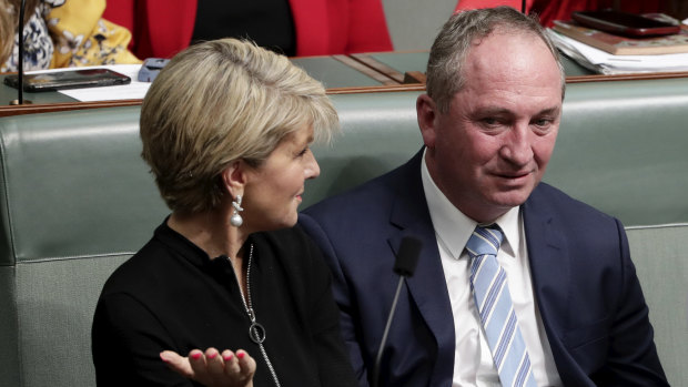 Julie Bishop "would have been better than" Barnaby Joyce, one voter believed.