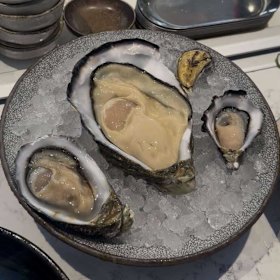 The giant oyster, pictured with regular oysters for scale.