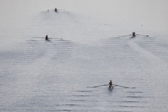 The Australian rowing squad training in single sculls and pairs on the Nepean River ahead of the National Olympic selection trials.