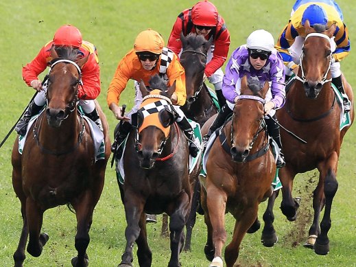 A seven-race card is scheduled at Orange on Monday.