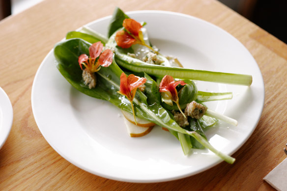 A winter salad of chicory leaves and beurre bosc pears. 