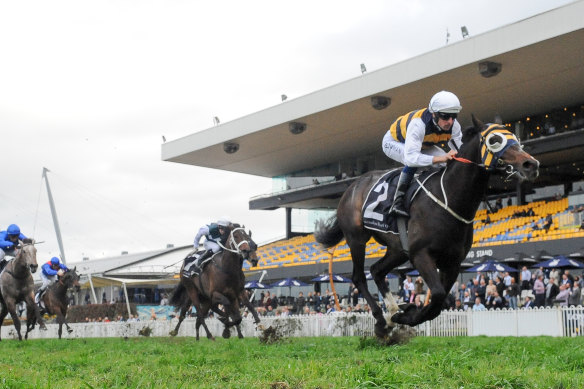 Quick Thinker surges away to win the Ming Dynasty Quality at Rosehill in the spring.