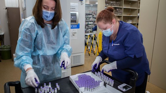 Nicole Dirnbauer of the Monash Medical Centre opens the Pfizer vaccine.