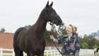 Gai Waterhouse with Gold Bullion in Melbourne on Friday.