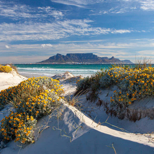 It isn’t hard to see why more cruises are heading to Cape Town.