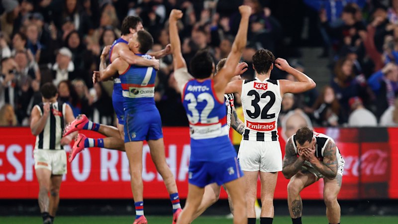 Like it or lump it, the AFL’s wildcard finals are here to stay