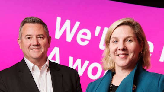 'Good luck with that': Telstra exec drawn into Elon Musk controversy