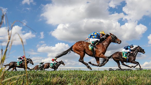 There are plenty of options for punters on a heavy track at Cessnock.