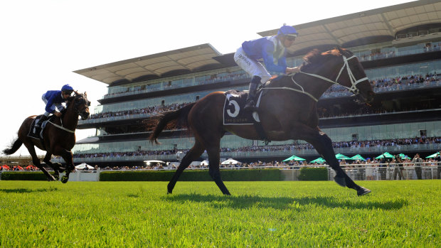 The best ever: racing may be on the wane but the exploit of Winx continue to turn heads.